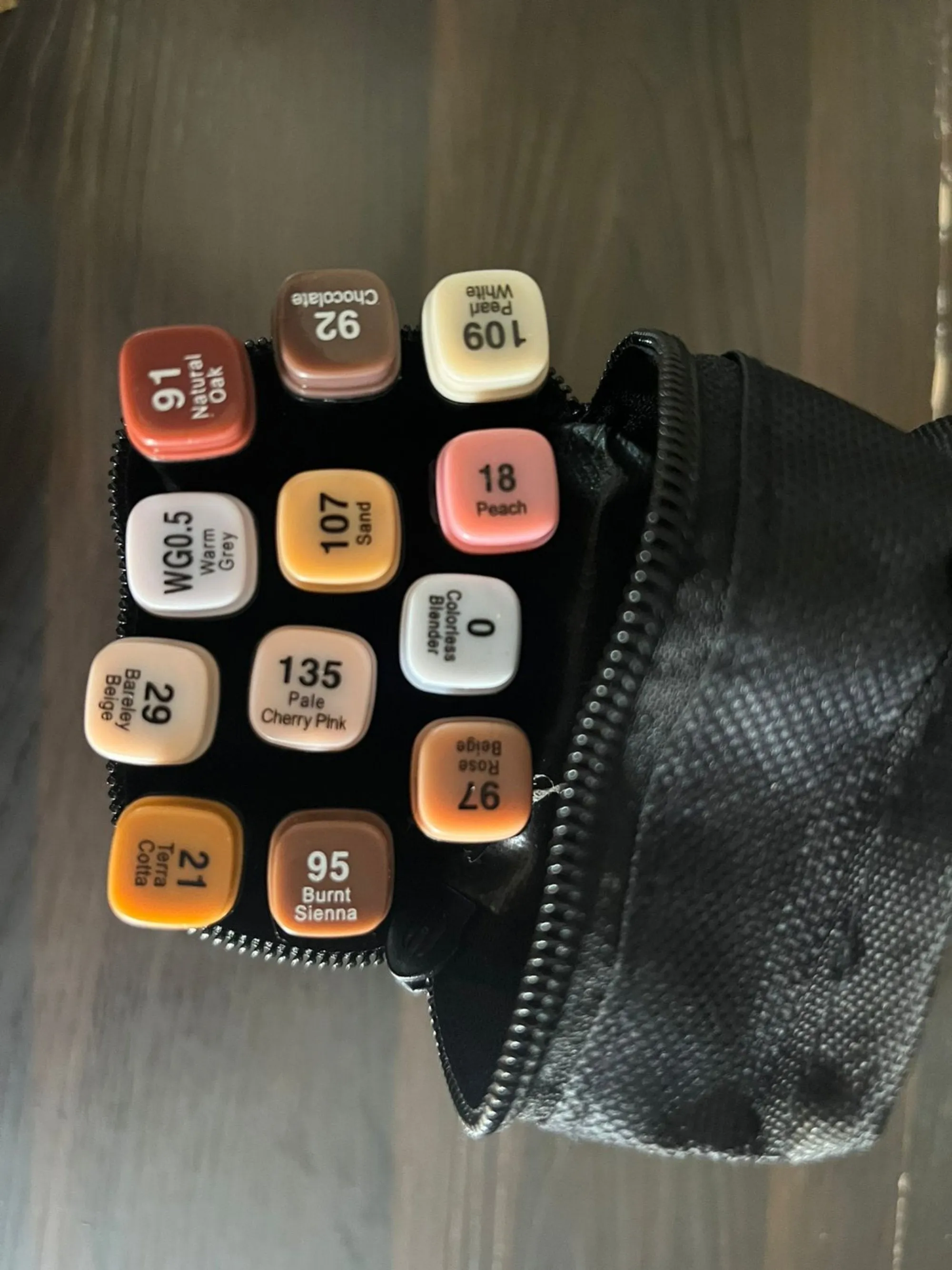 Dual Tip 12 Alcohol Markers Set